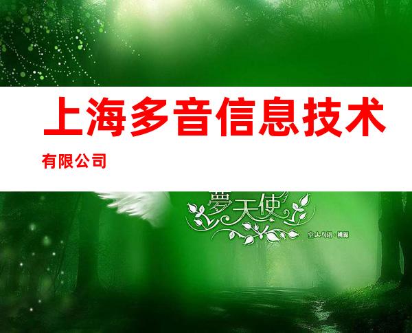 上海多音信息技术有限公司