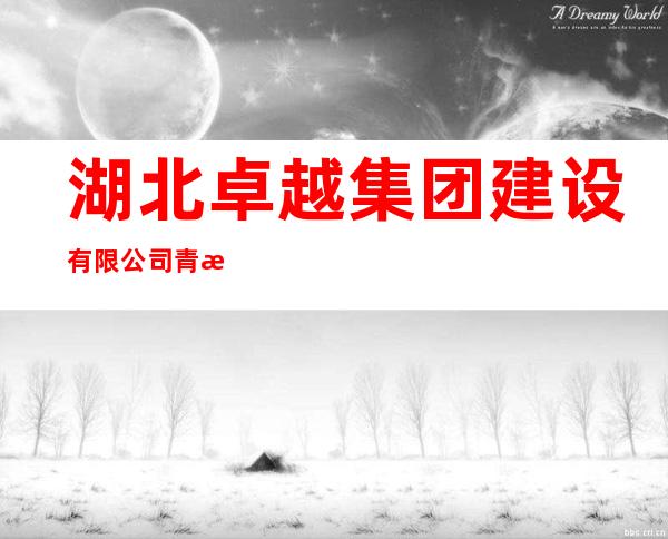 湖北卓越集团建设有限公司青海分公司